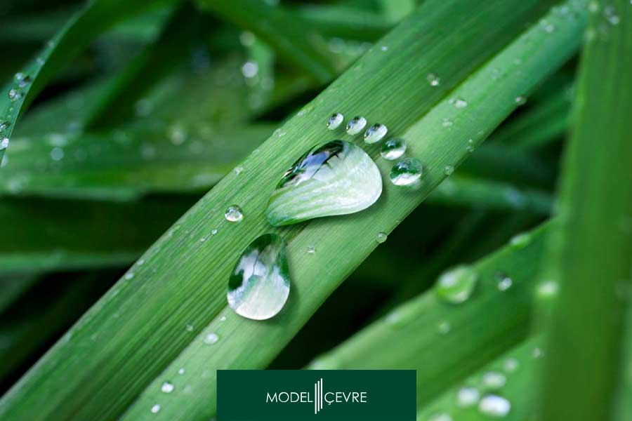 Su Ayak İzi Danışmanlığı Model Çevre 2026