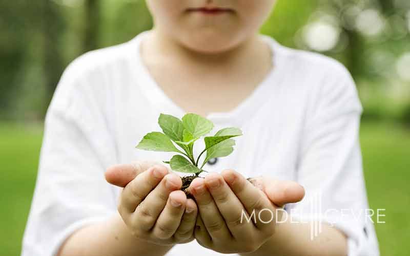 Ced Raporu Ornegi - Model Çevre Danışmanlık