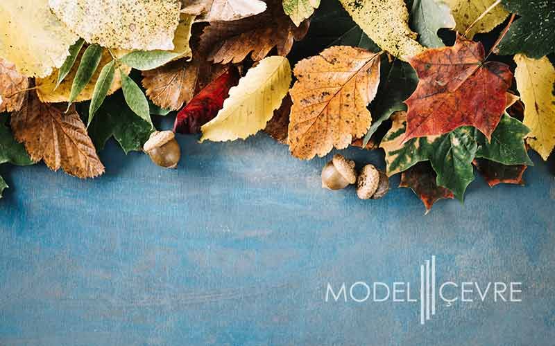 Cevre Izni Muafiyet Yazisi - Model Çevre Danışmanlık