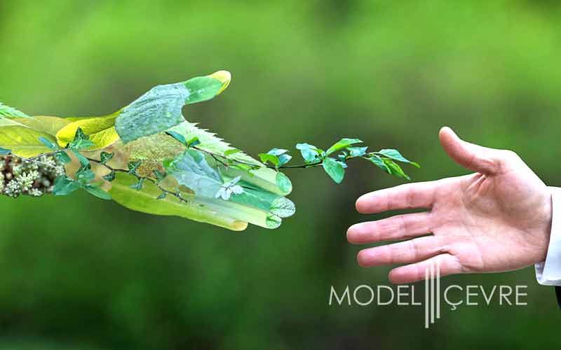 Yesil Yildiz Belgesi Nasil Alinir - Model Çevre Danışmanlık