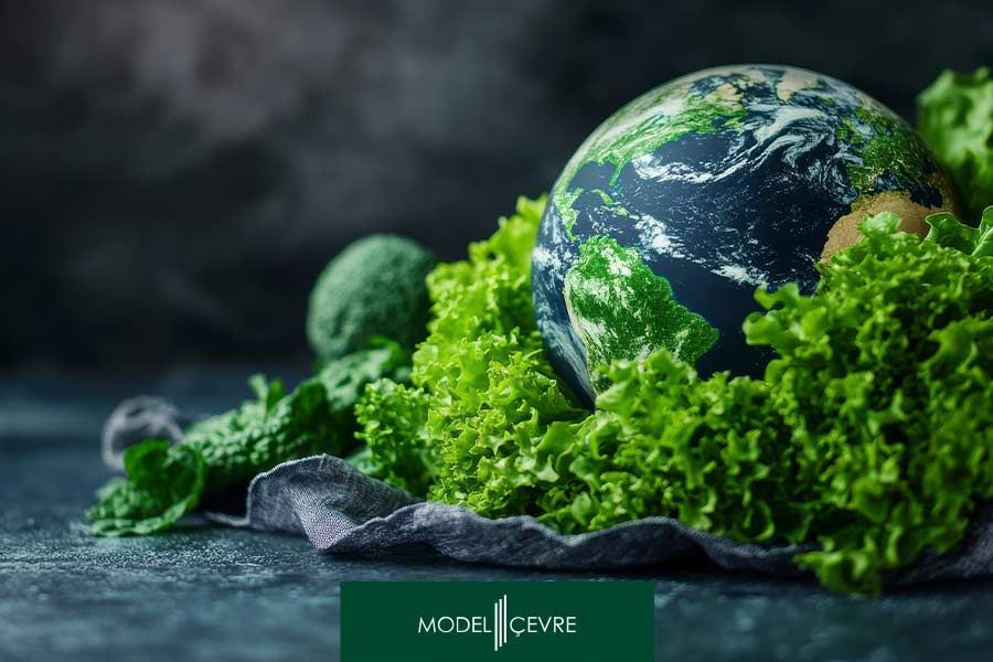 Karbon Ayak İzi Danışmanlığı Ekonomik