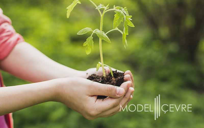 Cevre Izni Lisans Sorgulama - Model Çevre Danışmanlık