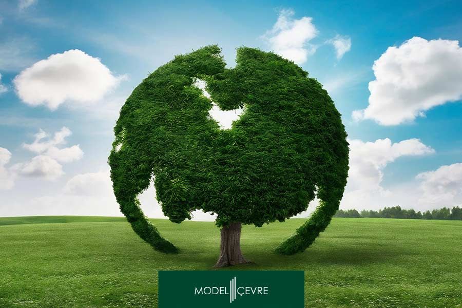 Sosyal, Ekonomik ve Çevresel Boyut - Model Çevre Danışmanlık