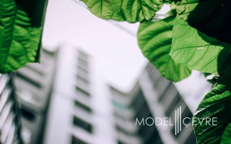 Yesil Yildiz Egitimi - Model Çevre Danışmanlık