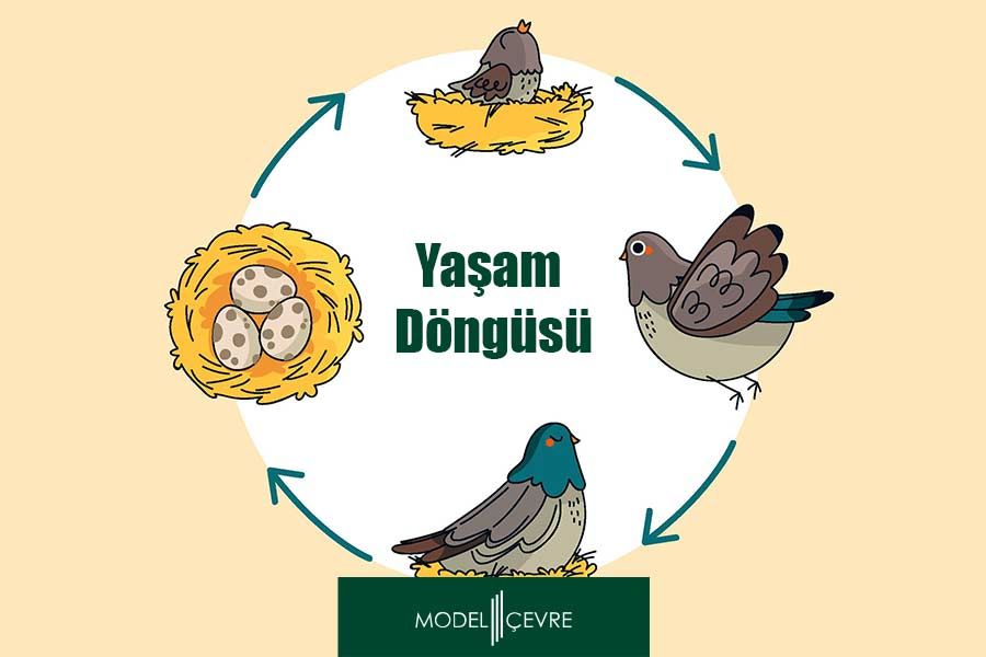 Neden Yaşam Döngüsü Değerlendirmesi Yaptırmalısınız? - Model Çevre Danışmanlık